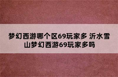 梦幻西游哪个区69玩家多 沂水雪山梦幻西游69玩家多吗